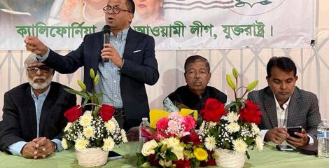 বিএনপির দেশী-বিদেশী ষড়যন্ত্র প্রতিহত করতে হবে : এনামুল হক শামীম
