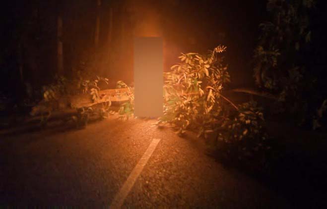 শরীয়তপুরে বিএনপির হরতালে সড়ক অবরোধ, টায়ারে আগুন