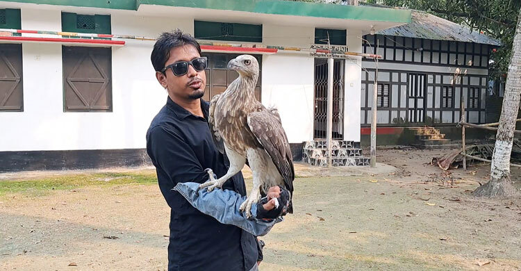 রোমানকে ছেড়ে যায় না ‘বাহাদুর’, পাহারা দেয় হাঁস-মুরগি