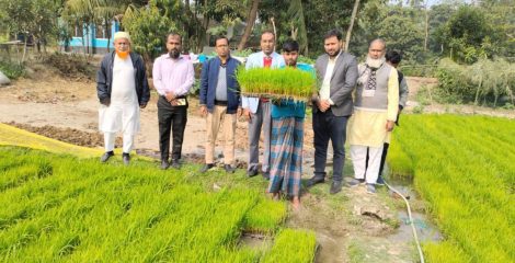 গোসাইরহাটে উদ্বুদ্ধকরণের মাধ্যমে বোরো ধানের সমলয় চাষাবাদ প্রদর্শনীর উদ্বোধন