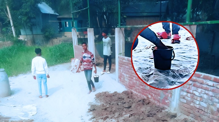 শরীয়তপুরে গরুর খামারে সাতটি হাতবোমা উদ্ধার