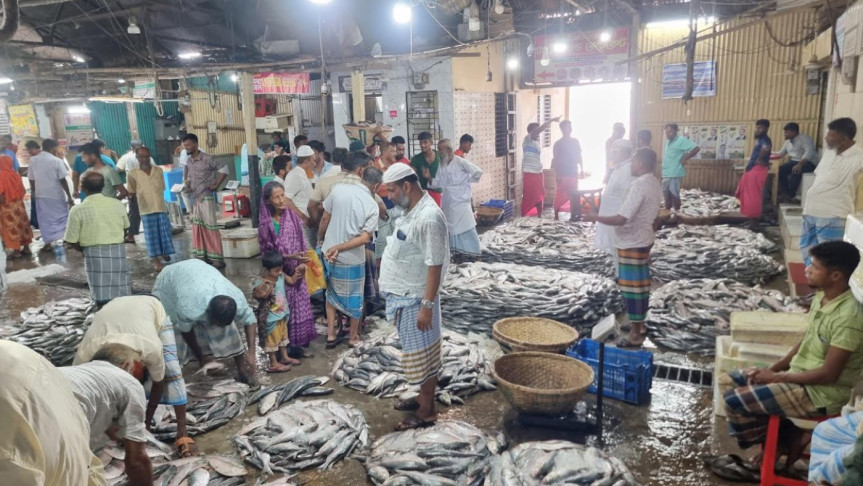 চাঁদপুর মাছঘাটে ইলিশের সরবরাহ বৃদ্ধি, তবু আকাশছোঁয়া দাম