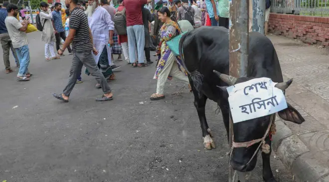 শাহবাগে আ.লীগ নেতাদের নামে গরু-ছাগল জবাই: ক্ষমতাচ্যুতির ‘শুকরিয়া’ উৎসব