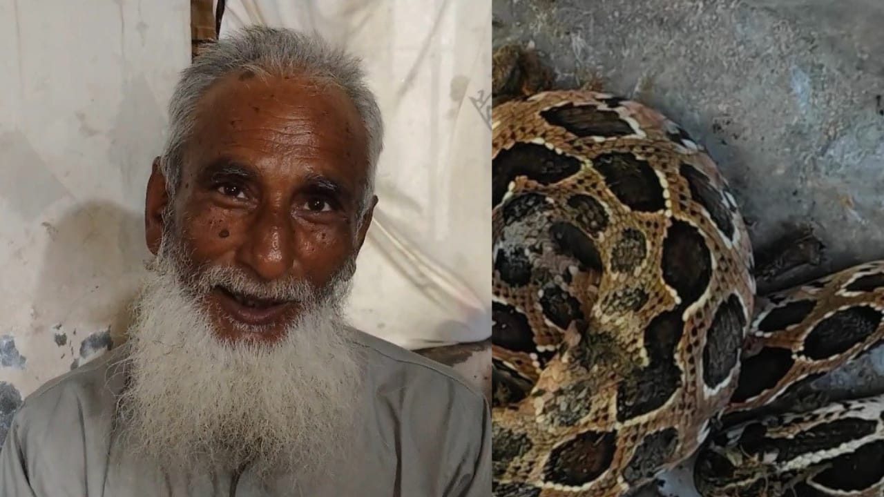 কামড় দেওয়ার পর শরীয়তপুর রাসেলস ভাইপার নিয়ে হাসপাতালে কৃষক
