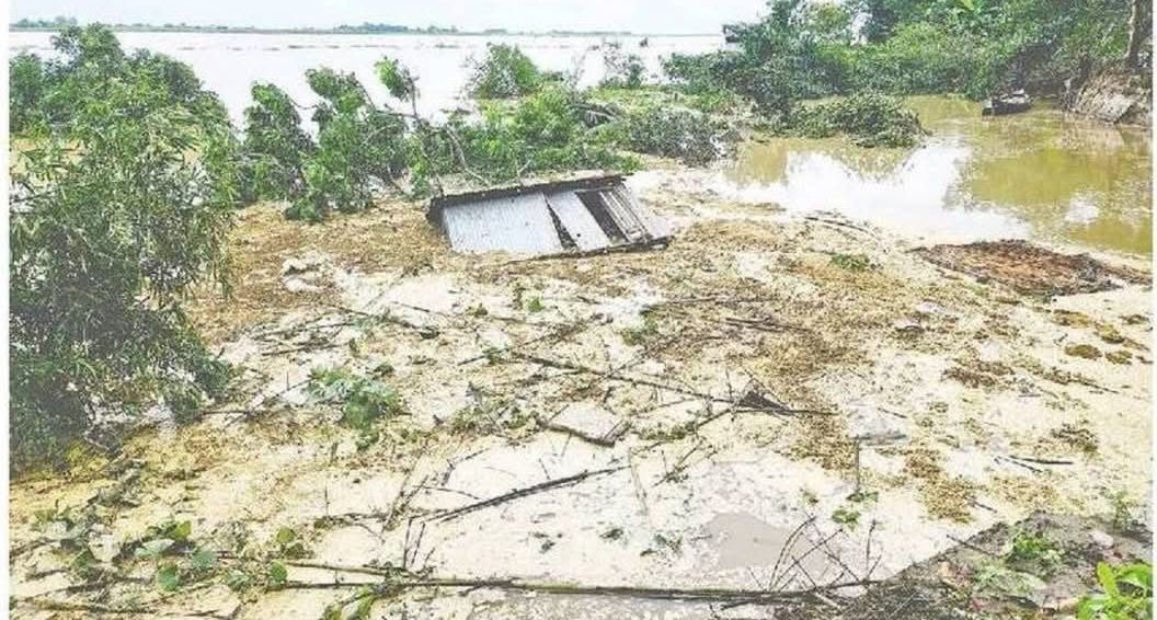 বিবিএর আপত্তিতে থেমেছিল সংস্কার, পদ্মার ভাঙনে বিলীন ৬০০ মিটার বাঁধ: জাজিরায় বিপাকে শতাধিক পরিবার
