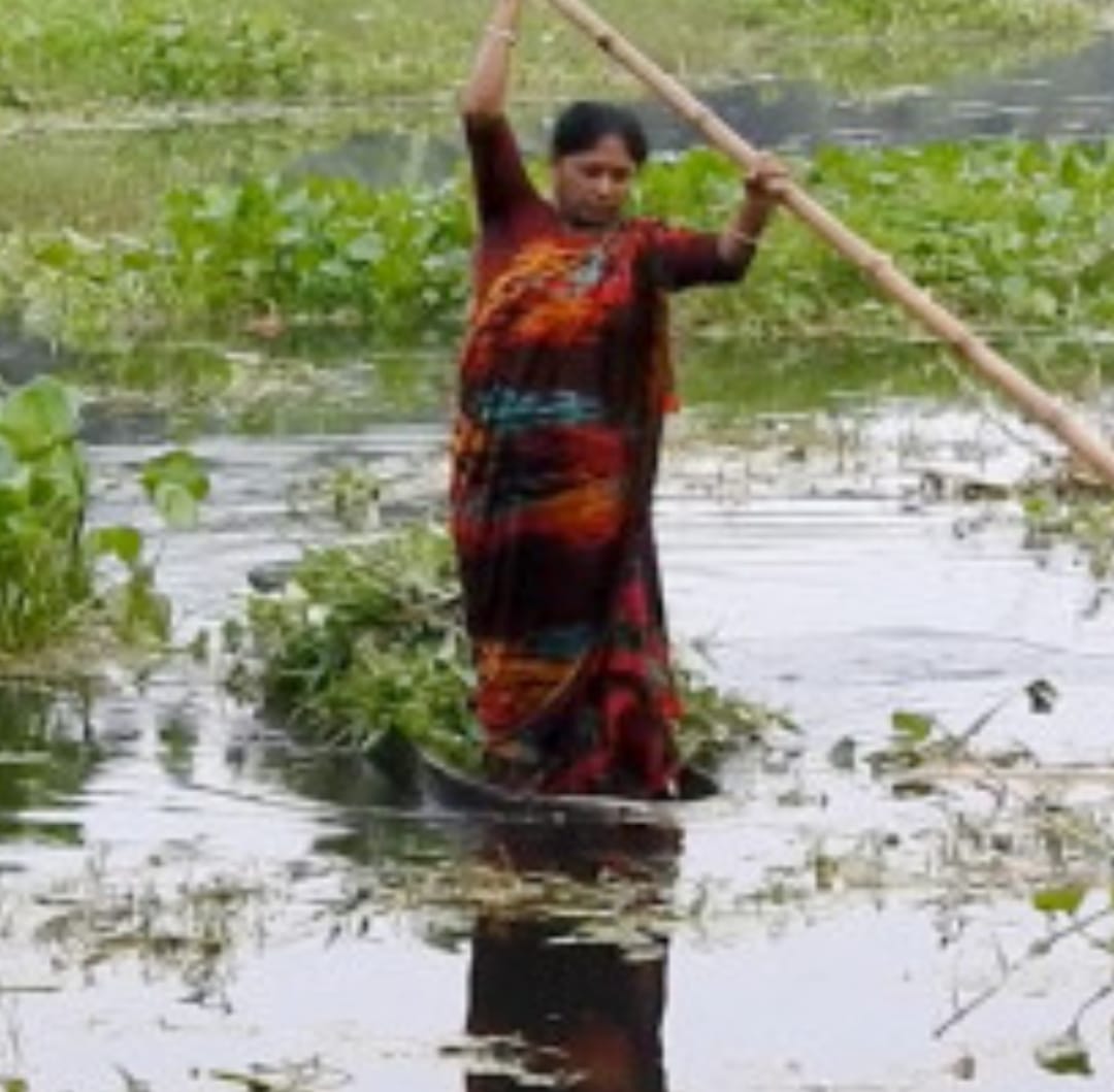 তালগাছের ডোঙ্গায় নারীদের অন্যরকম জীবিকা
