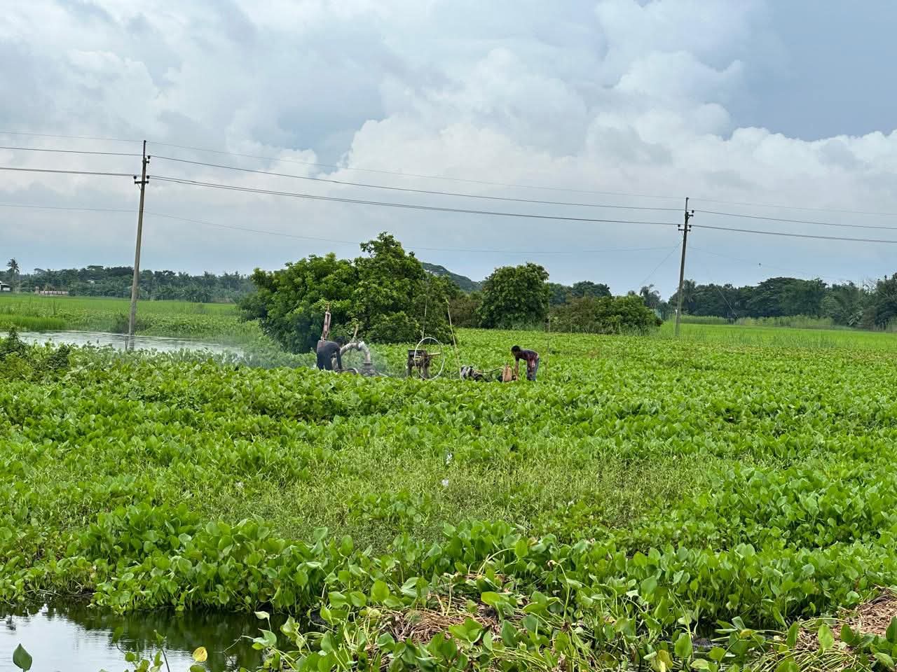 শরীয়তপুরে অবৈধ বালু উত্তোলনে মোবাইল কোর্টের কঠোর ব্যবস্থা