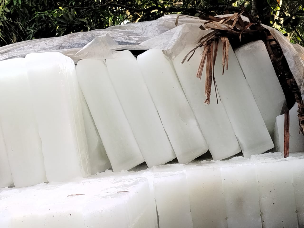 গোসাইরহাটে ইলিশ মজুদের উদ্দেশ্যে আনা এক ট্রাক বরফ জব্দ