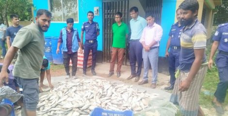 শরীয়তপুরে নিষেধাজ্ঞা অমান্য করে ইলিশ পরিবহন, যৌথবাহিনীর অভিযানে ৪০০ কেজি জব্দ