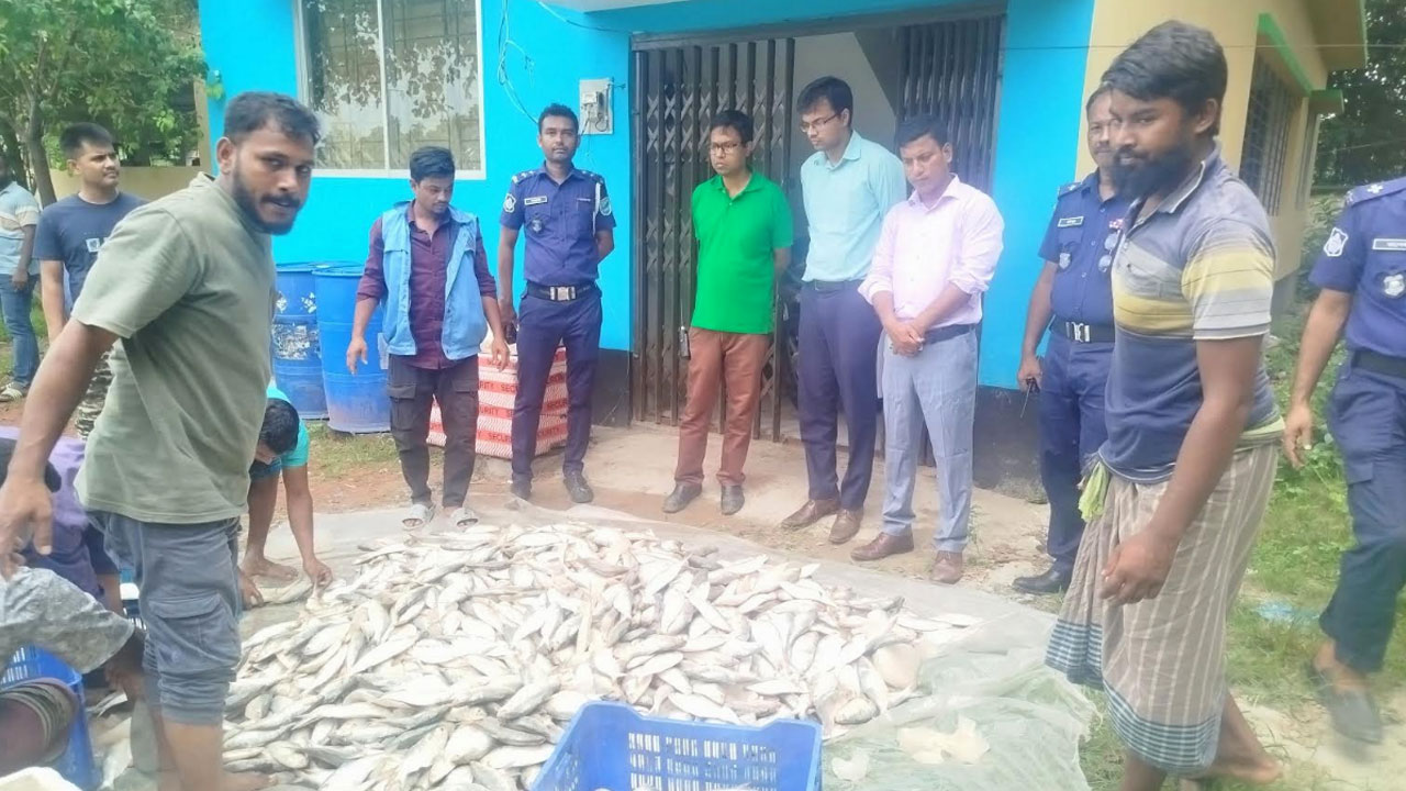 শরীয়তপুরে নিষেধাজ্ঞা অমান্য করে ইলিশ পরিবহন, যৌথবাহিনীর অভিযানে ৪০০ কেজি জব্দ