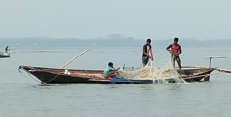 ইলিশ রক্ষায় ২২ দিনের নিষেধাজ্ঞা শেষে নদীতে ফিরলেন জেলেরা, উৎপাদন বাড়ার আশা
