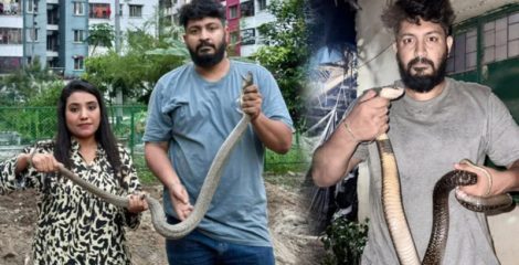 ঢাকায় চার মাসে উদ্ধার ৩৫০টিরও বেশি বিষধর সাপ, আতঙ্কে নগরবাসী