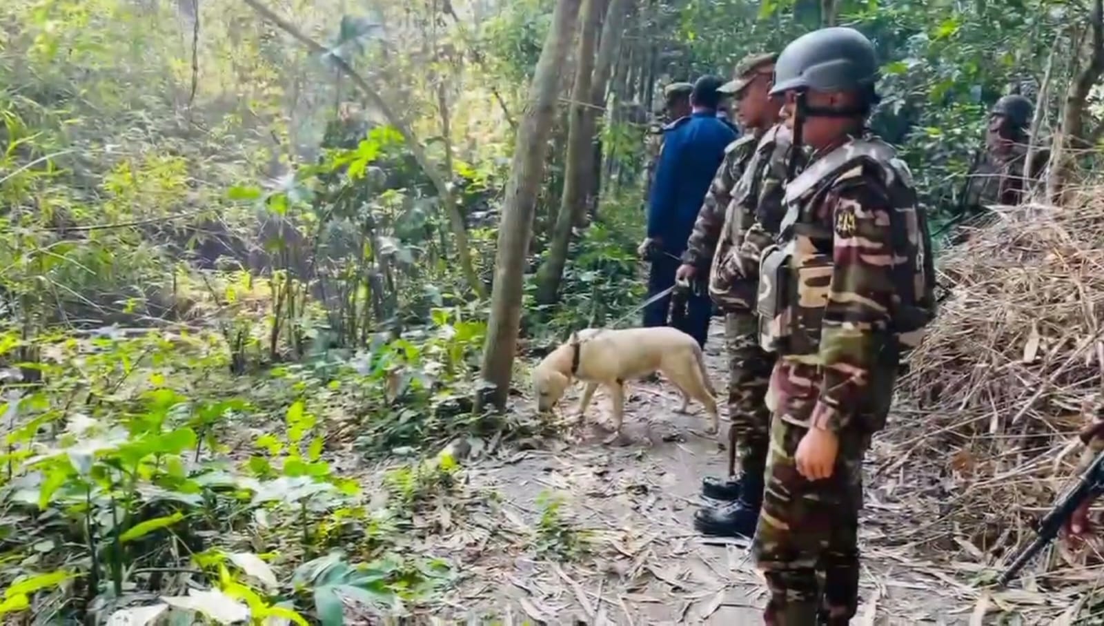 শরীয়তপুর ডগ স্কোয়াডের তল্লাশি—বাঁশঝাড়ে লুকানো ৪৫ ককটেল! এলাকায় আতঙ্ক