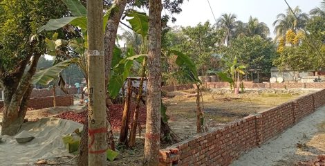 চরভাগায় আদালতের নির্দেশ অমান্য করে জমির ওপর স্থাপনা নির্মাণের অভিযোগ