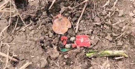জাজিরায় আধিপত্যের লড়াইয়ে রণক্ষেত্র বিলাসপুর, শতাধিক হাতবোমা বিস্ফোরণ