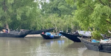 সুন্দরবনের শেলার চর থেকে ৬ জেলে অপহরণ, আতঙ্কে শুঁটকি পল্লী
