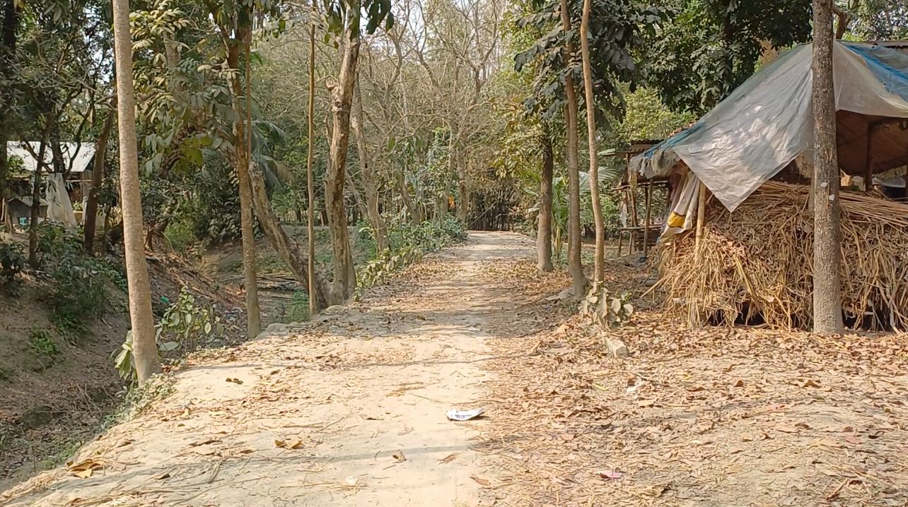 মাহমুদপুরে টিআর–কাবিটা–কাবিখা প্রকল্পে অনিয়ম ও অর্থ আত্মসাতের অভিযোগ