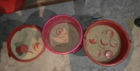 মুন্সীগঞ্জে পরিত্যক্ত দোকানে সেনাবাহিনীর অভিযান: ৩ বালতি ককটেল উদ্ধার