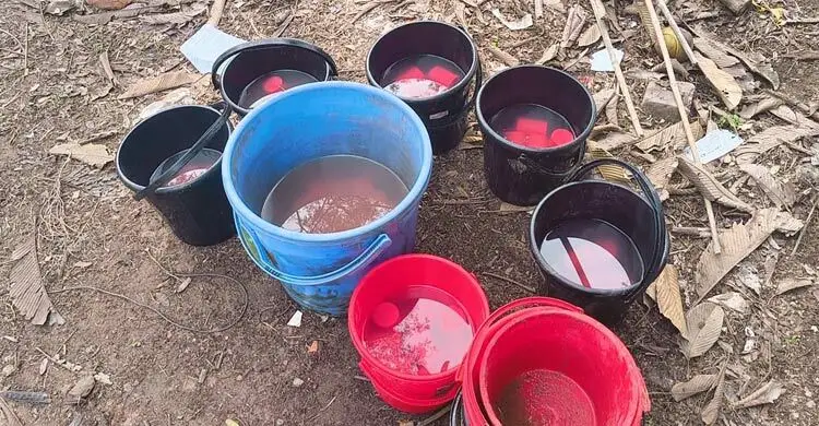 নড়িয়ায় যৌথ বাহিনীর অভিযান: ৩ বাড়ি থেকে ৯৫ হাতবোমা উদ্ধার, আটক ৩