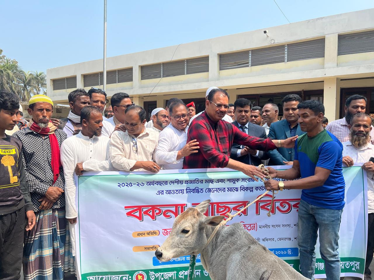 ভেদরগঞ্জ উপজেলাে বিকল্প কর্মসংস্থানে জেলেদের মাঝে বকনা বাছুর বিতরণ