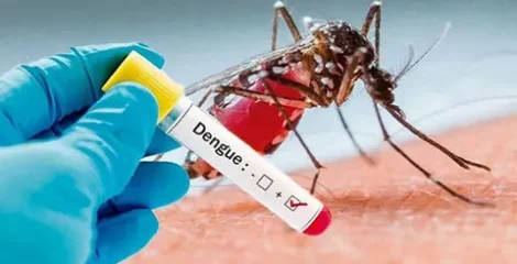 ডেঙ্গুতে একদিনে আরও ৬ জনের মৃত্যু, হাসপাতালে ভর্তি ২ হাজার ৮৯