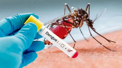 ডেঙ্গুতে একদিনে আরও ৬ জনের মৃত্যু, হাসপাতালে ভর্তি ২ হাজার ৮৯