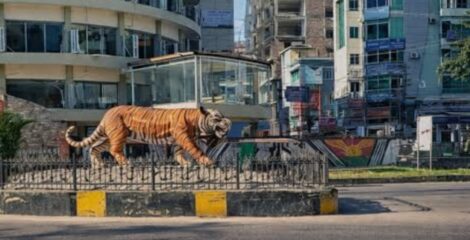 খুলনায় খুন-গুলি ও চাঁদাবাজিতে অশান্ত, সন্ত্রাসীদের লাগাম টানবে কে?