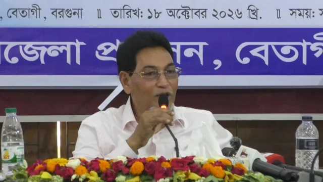 আগামী বছর বিদ্যুৎ বিক্রির জায়গা থাকবে না: চিফ হুইপ