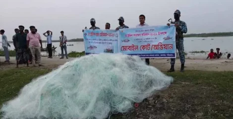 মা ইলিশ রক্ষায় পদ্মায় অভিযান, দেড় লাখ মিটার নিষিদ্ধ জাল ধ্বংস