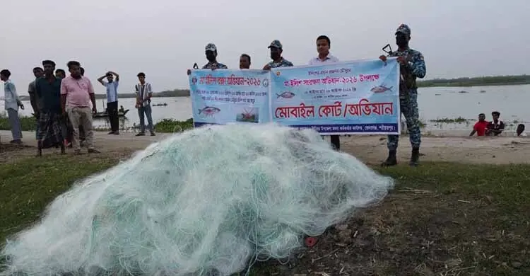 মা ইলিশ রক্ষায় পদ্মায় অভিযান, দেড় লাখ মিটার নিষিদ্ধ জাল ধ্বংস