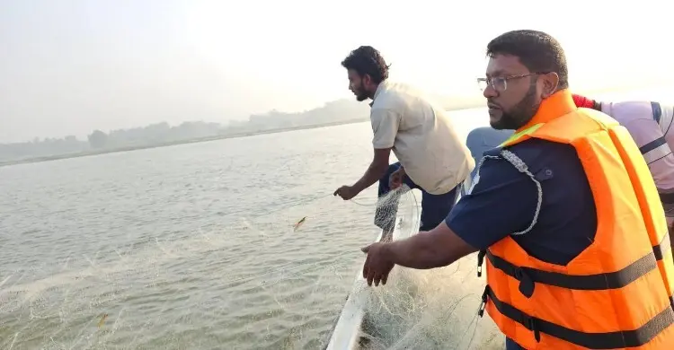 চাঁদপুরে মা ইলিশ রক্ষায় দুই অভিযানে ৭ জেলে আটক