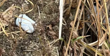 খেলনা ভেবে ককটেল হাতে, মাটিতে ফেলতেই বিস্ফোরণ; কিশোর গুরুতর আহত