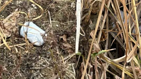 খেলনা ভেবে ককটেল হাতে, মাটিতে ফেলতেই বিস্ফোরণ; কিশোর গুরুতর আহত