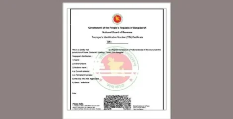 অনলাইনে টিআইএন বাতিলের সুযোগ, আবেদনের আগে যেসব বিষয় জানা জরুরি