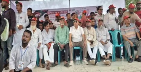 বিএনপিকে ক্ষমতা থেকে সরাতে ষড়যন্ত্র চলছে: মাহবুব আলমগীর আলো